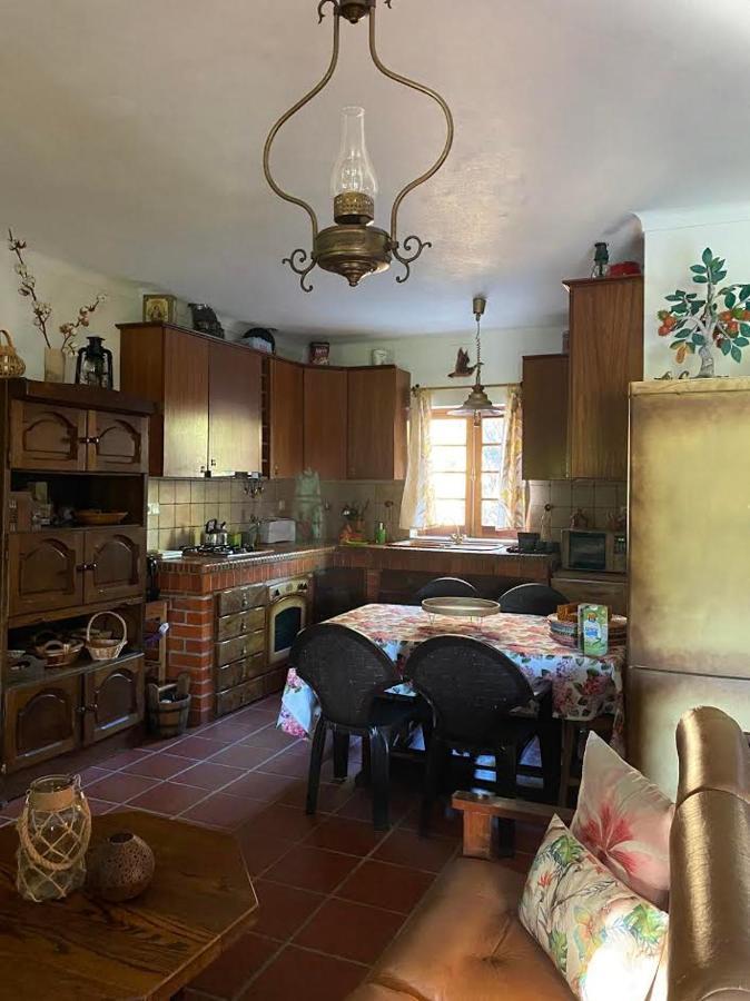 Casa Riotempo + Jangada Villa Томар Екстериор снимка